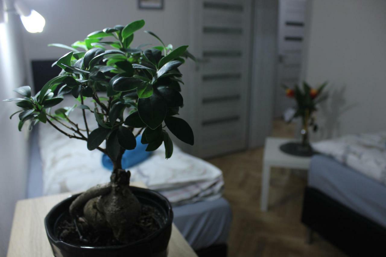 Kotlarska Apartment ヴロツワフ エクステリア 写真